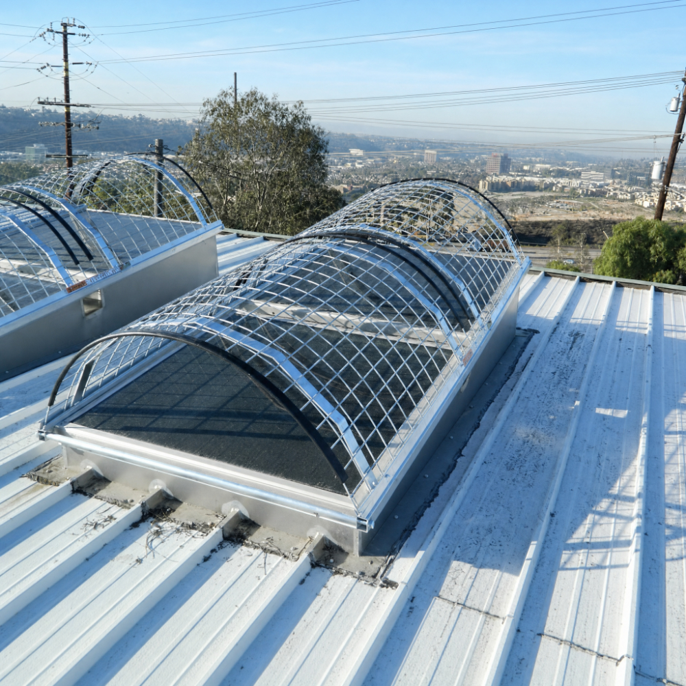 Skylight Protection